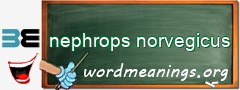 WordMeaning blackboard for nephrops norvegicus